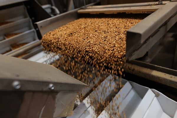 Bansal Sortex Grain Cleaning and Sorting Unit