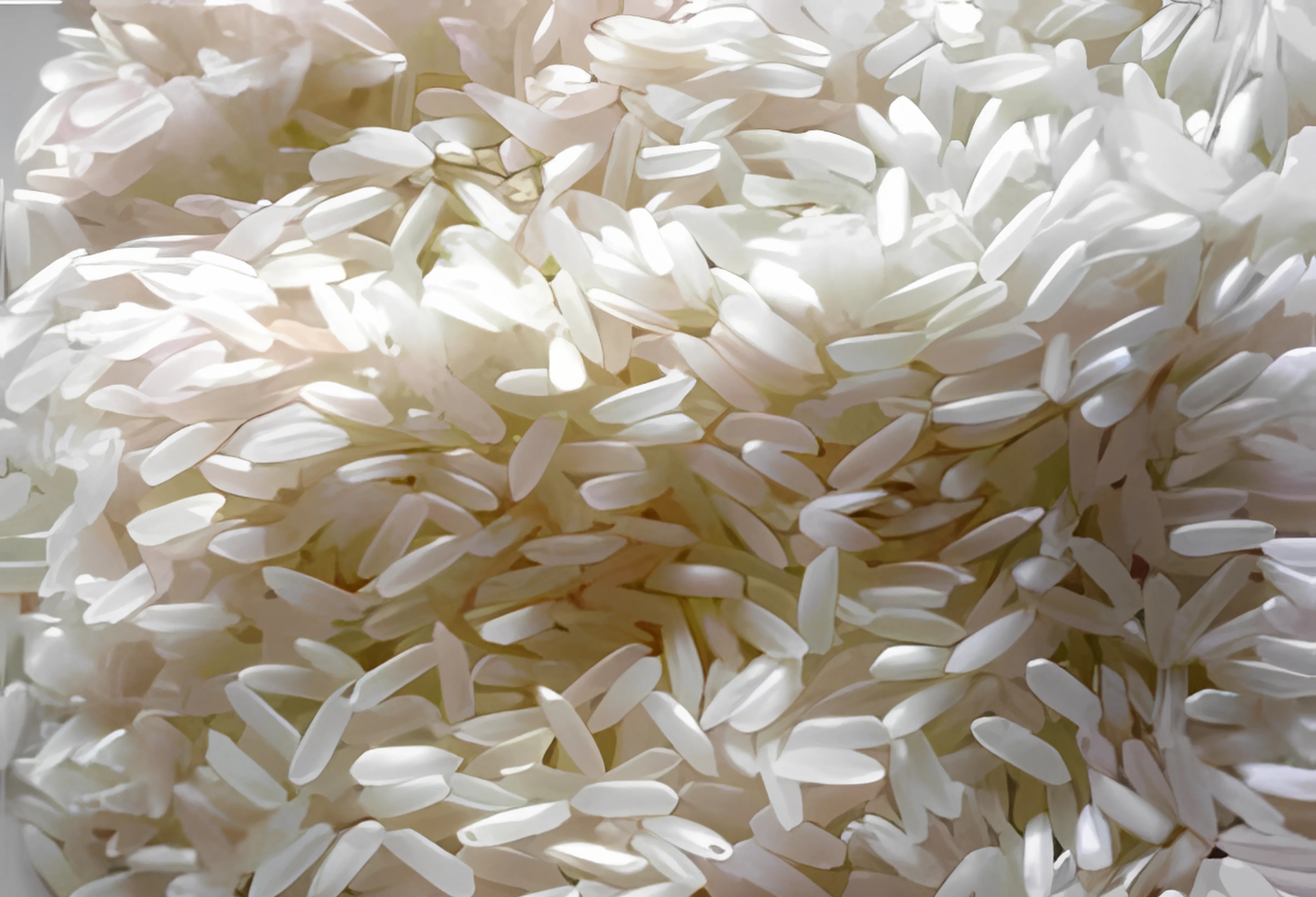 Swarna Parboiled Rice